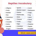 Reptiles Vocabulary - wordscoach.com