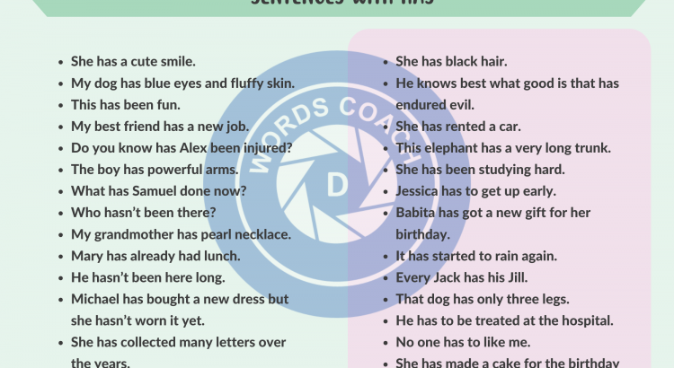 Sentences with HAS - wordscoach.com