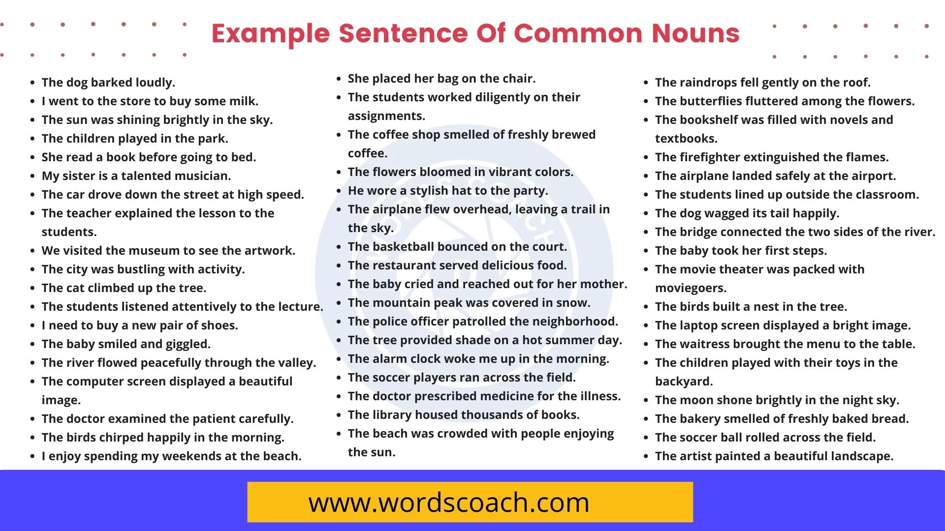 150 Example Sentence Of Common Nouns Word Coach