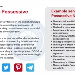 What is a Possessive Noun? - wordscoach.com
