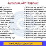 Sentences with Nephew - wordscoach.com