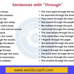 Sentences with Through - wordscoach.com