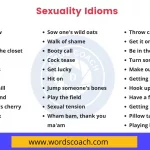 Throw caution to the wind Get it on Be in the mood Turn someone on Make out Getting some action Hook up Have a fling Getting lucky Pillow talk Playing hard to get