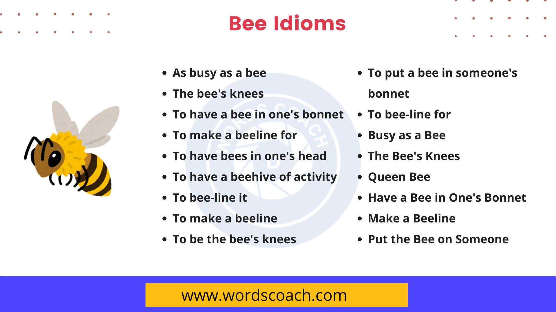 Bee Idioms Word Coach