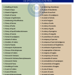 Collective Nouns for Birds - wordscoachcom