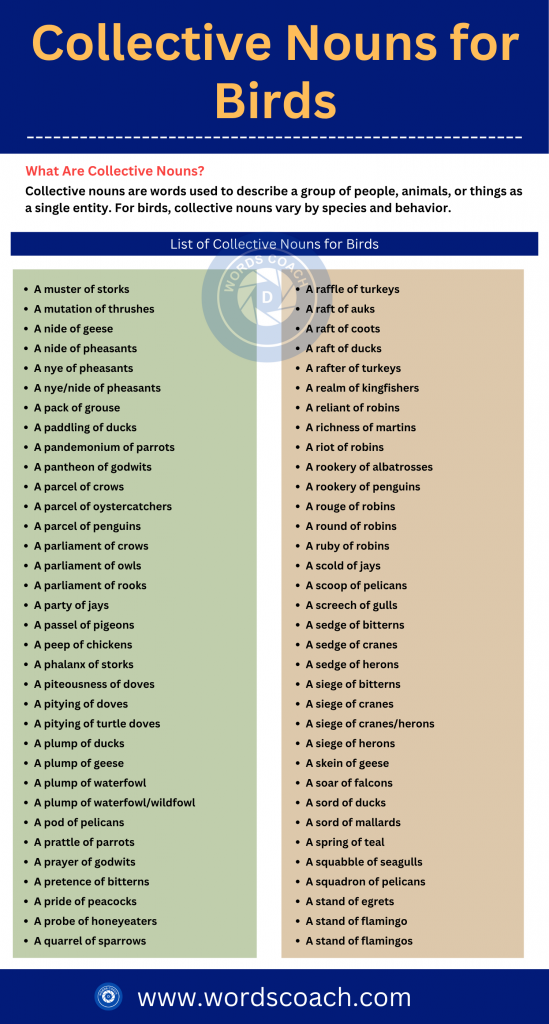 Collective Nouns for Birds - wordscoachcom
