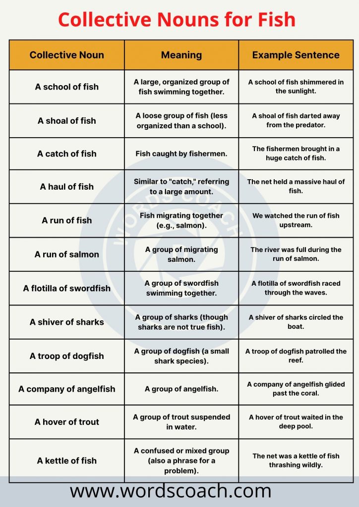 Collective Nouns for Fish - wordscoach.com