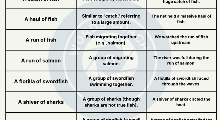 Collective Nouns for Fish - wordscoach.com