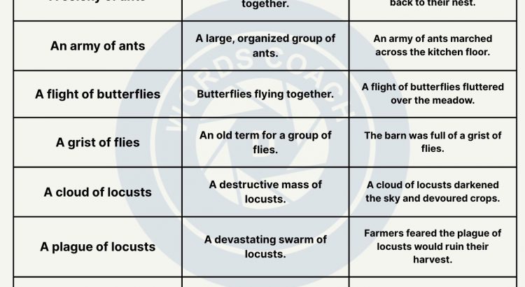 Collective Nouns for Insects - wordscoach.com