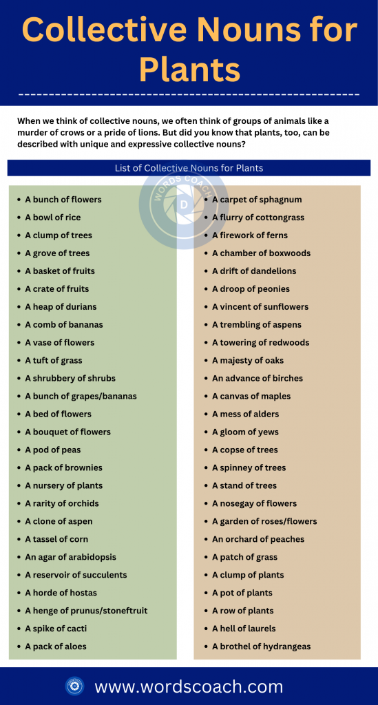 Collective Nouns for Plants - wordscoachcom