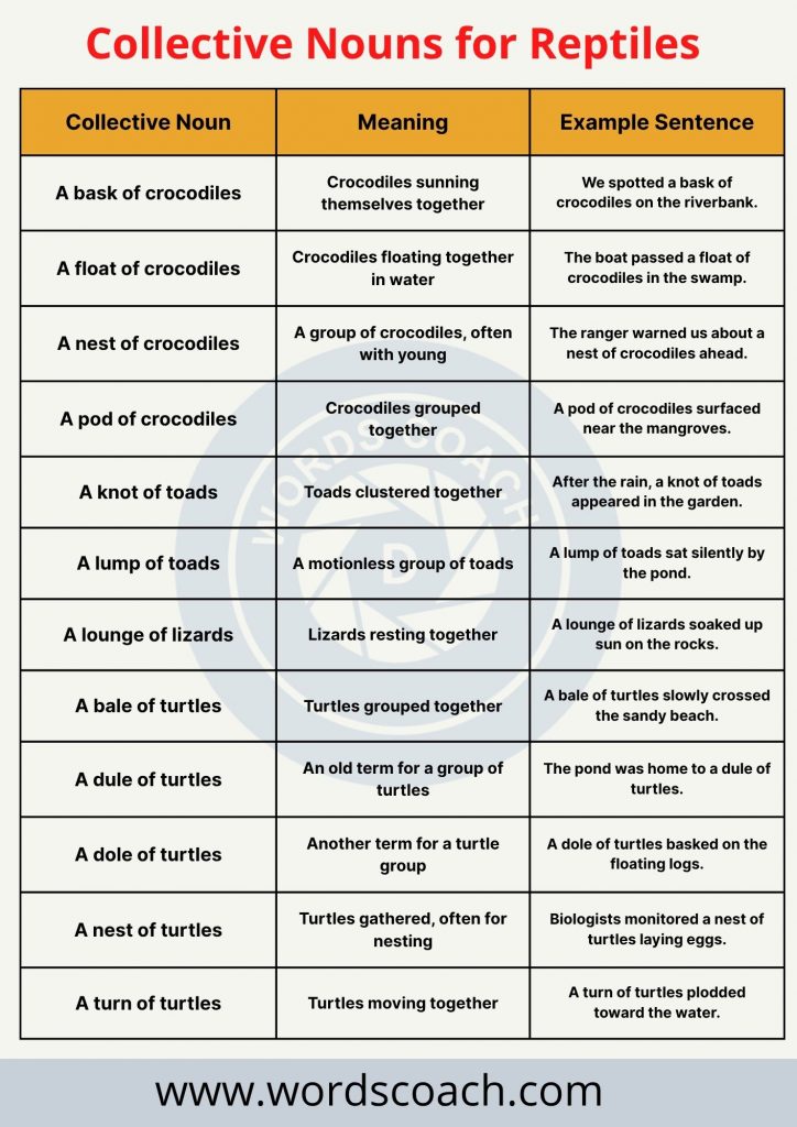 Collective Nouns for Reptiles - wordscoach.com