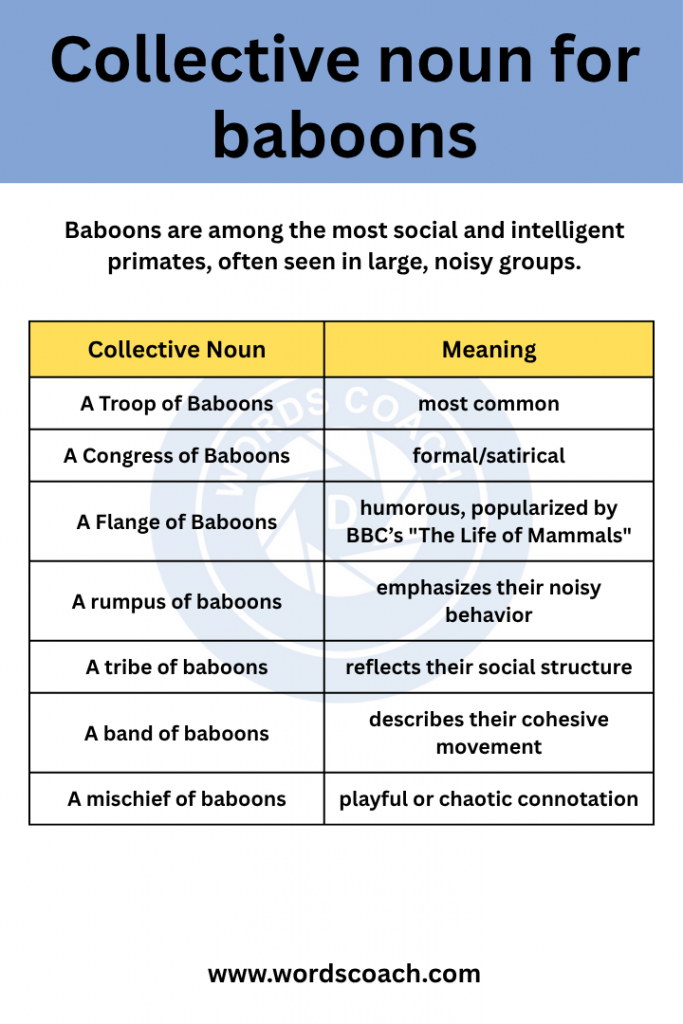 Collective noun for baboons - wordscoach.com