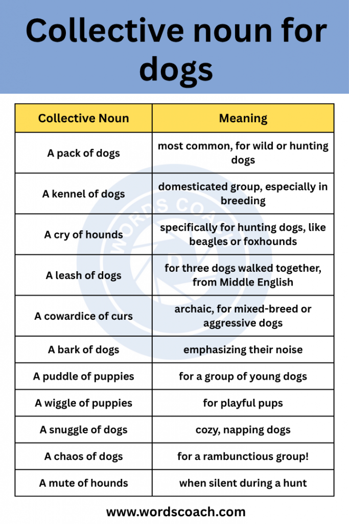 Collective noun for dogs - wordscoach.com