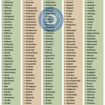 8th grade word list - wordscoachcom